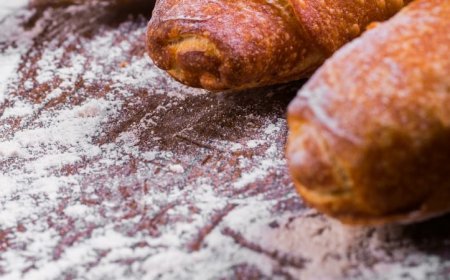 Meslekler Ne Anlama Geliyor?